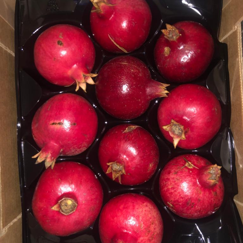 Raccolta del frutto